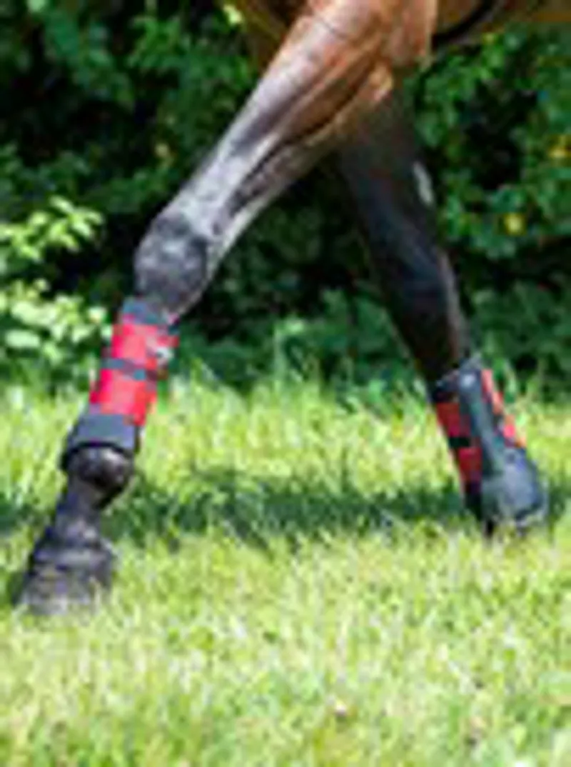 LeMieux Grafter Brushing Boot Chilli-1