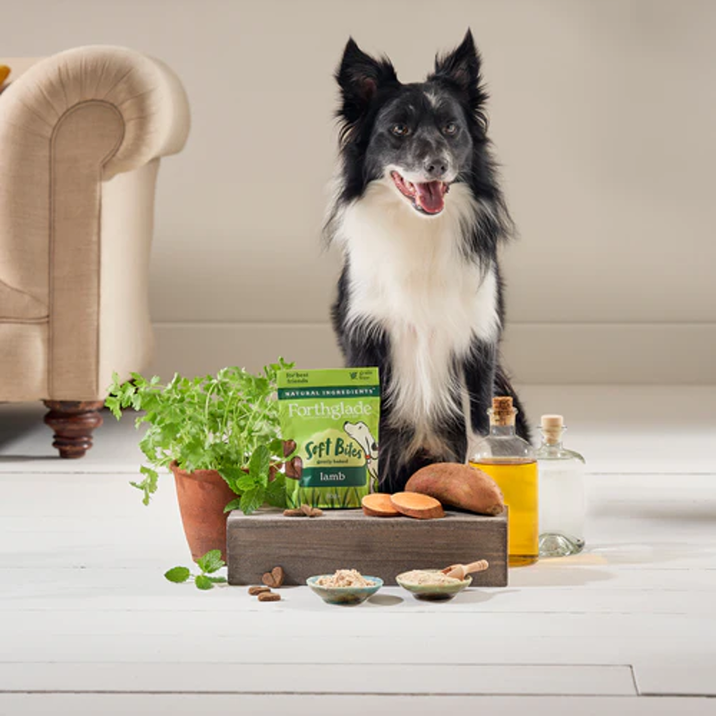 Forthglade Soft Bite Lamb Treats 90g-1