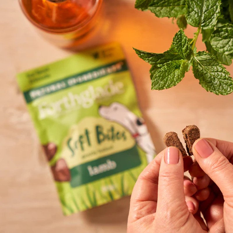 Forthglade Soft Bite Lamb Treats 90g-4