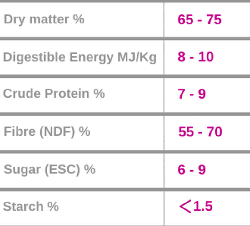 BurlyBale High Fibre Naturally Good Haylage-2