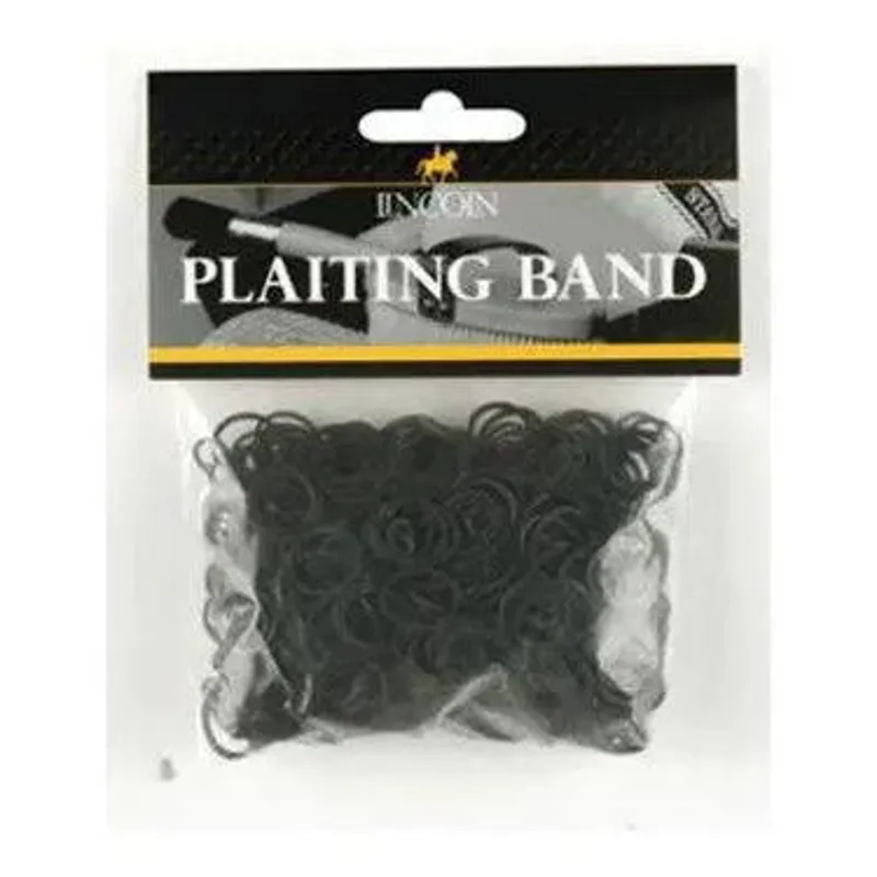 Lincoln Plaiting Band Bag