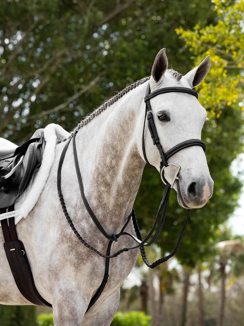 LeMieux Hunter Standing Martingale Black/Silver-1