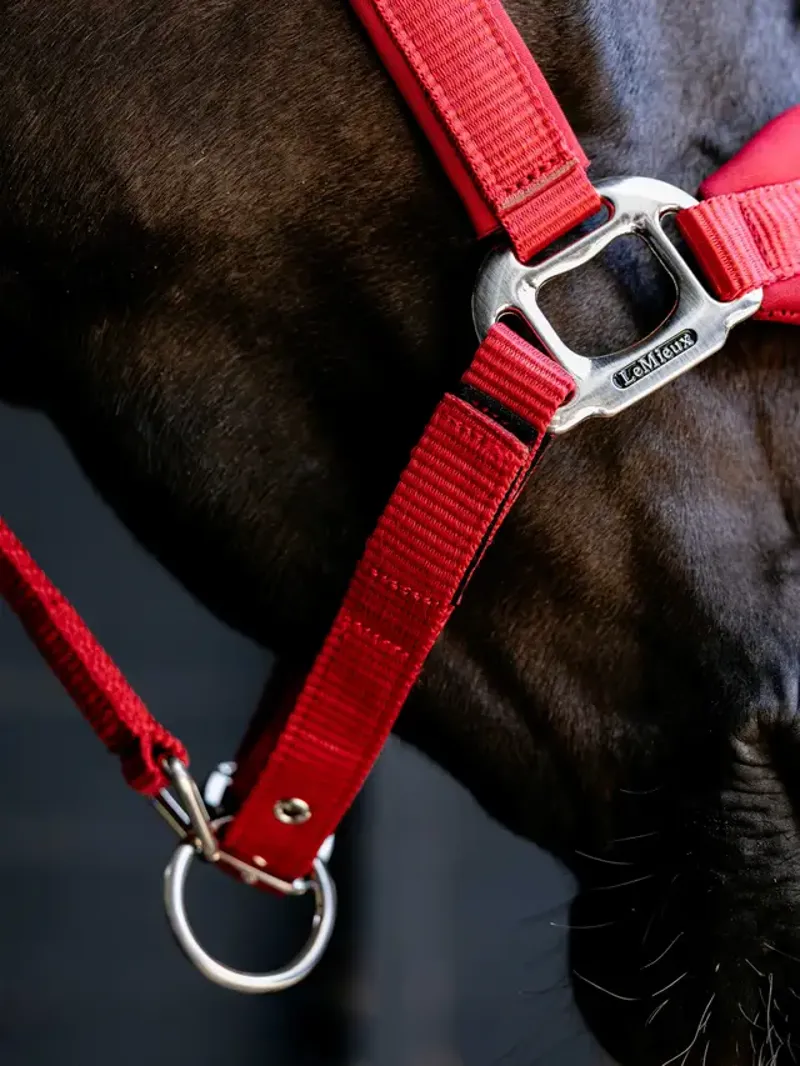  LeMieux Breakaway Vogue Headcollar in Chilli-2