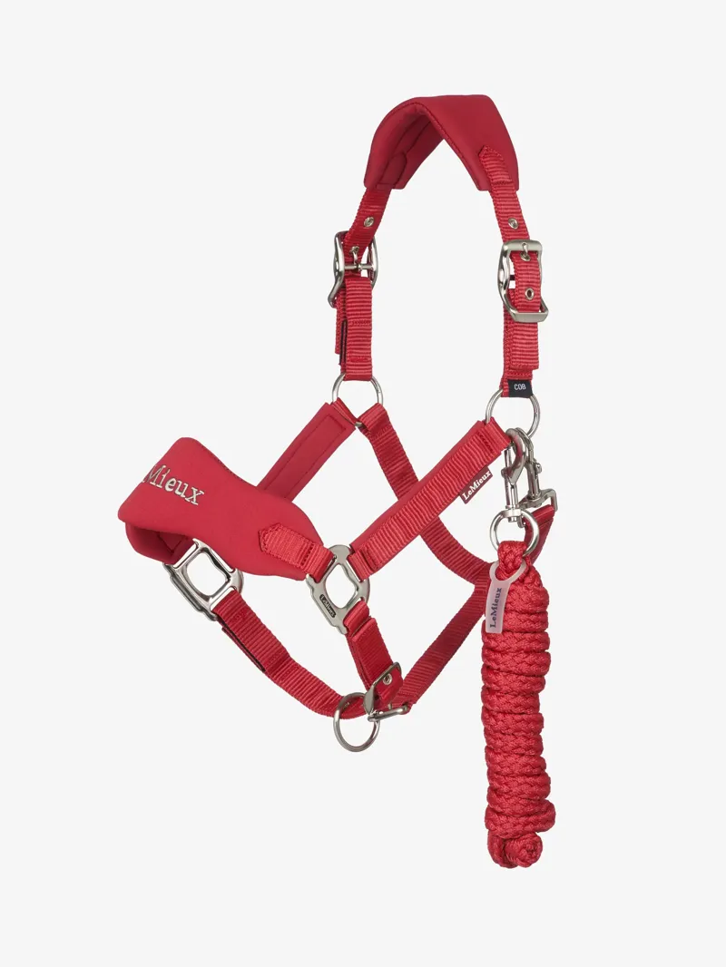  LeMieux Breakaway Vogue Headcollar in Chilli