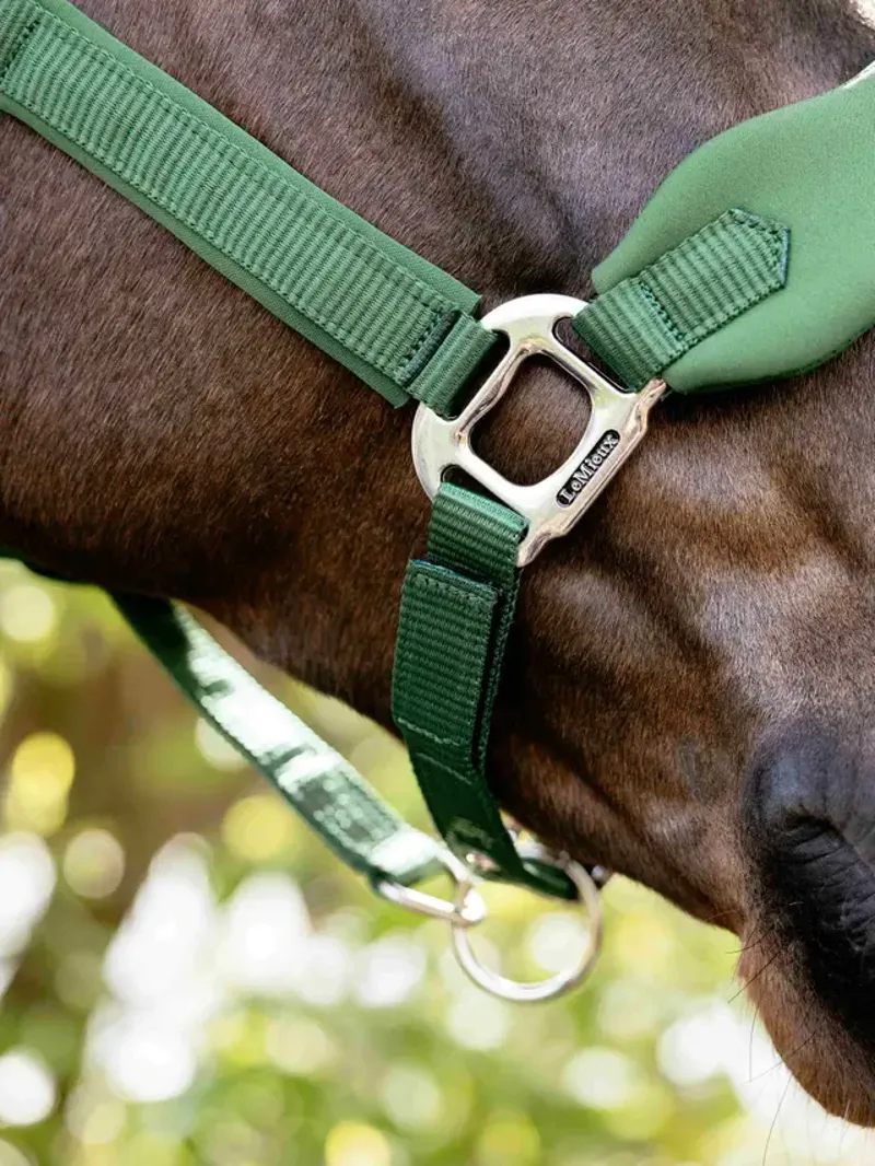  LeMieux Breakaway Mini Vogue Headcollar in Hunter Green-2