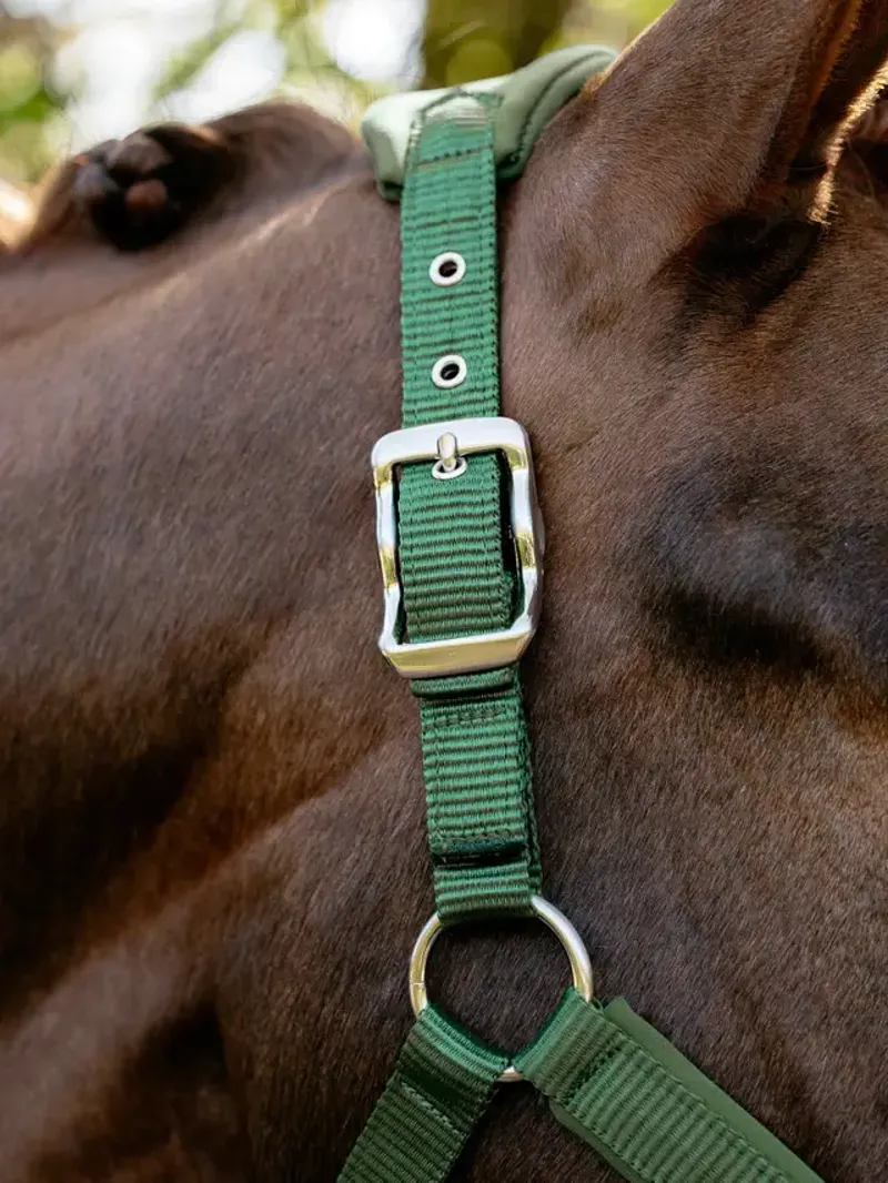  LeMieux Breakaway Vogue Headcollar in Hunter Green-2