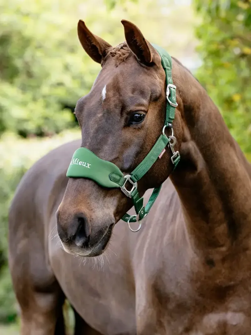  LeMieux Breakaway Mini Vogue Headcollar in Hunter Green