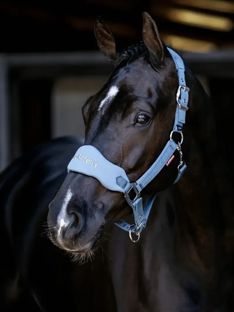  LeMieux Breakaway Mini Vogue Headcollar in Ice Blue-1