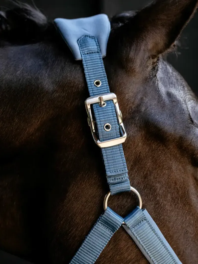  LeMieux Breakaway Mini Vogue Headcollar in Ice Blue-2