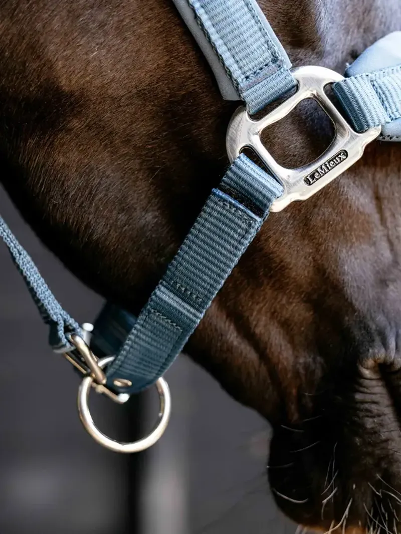  LeMieux Breakaway Mini Vogue Headcollar in Ice Blue-3