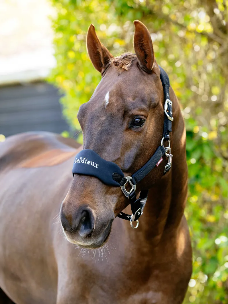 LeMieux Breakaway Vogue Headcollar in Black-3