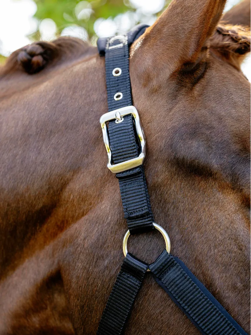 LeMieux Breakaway Vogue Headcollar in Black-1