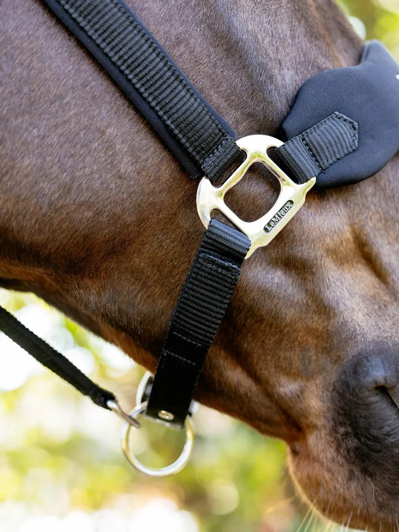 LeMieux Breakaway Mini Vogue Headcollar in Black-2