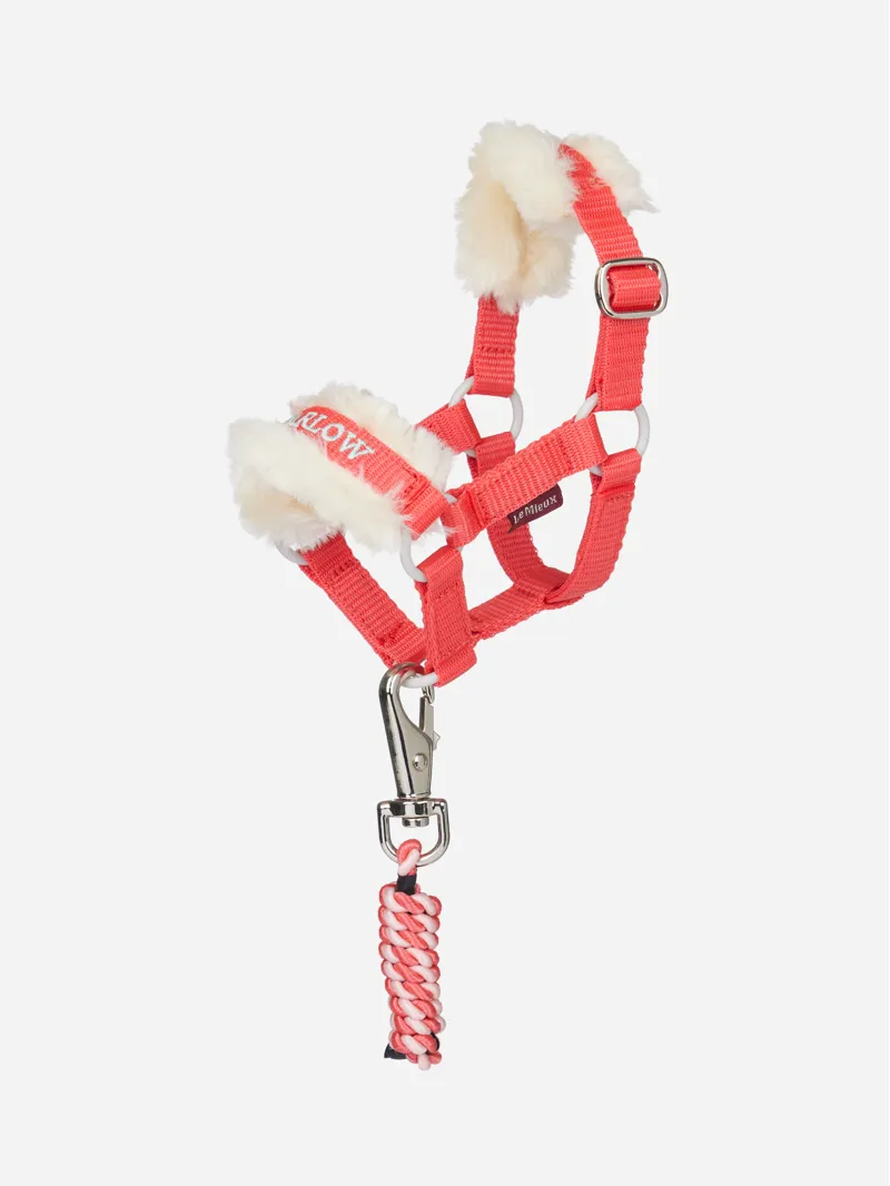 LeMieux Harlow Toy Pony Headcollar and Leadrope Coral Crush
