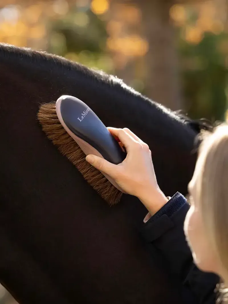 LeMieux Heritage Dandy Brush Navy