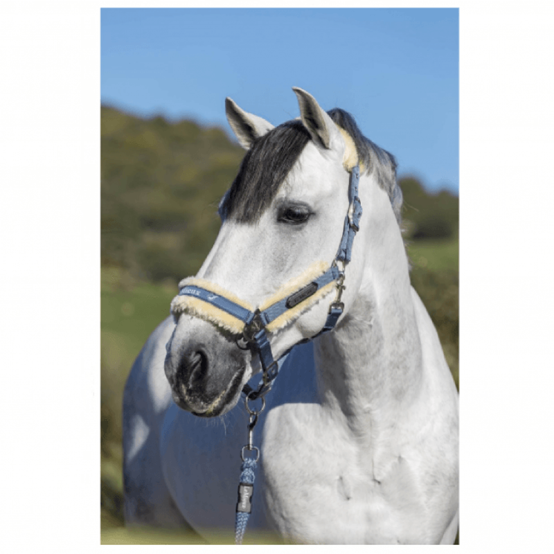 LeMieux Loire Luxury Headcollar in Navy and White Pony