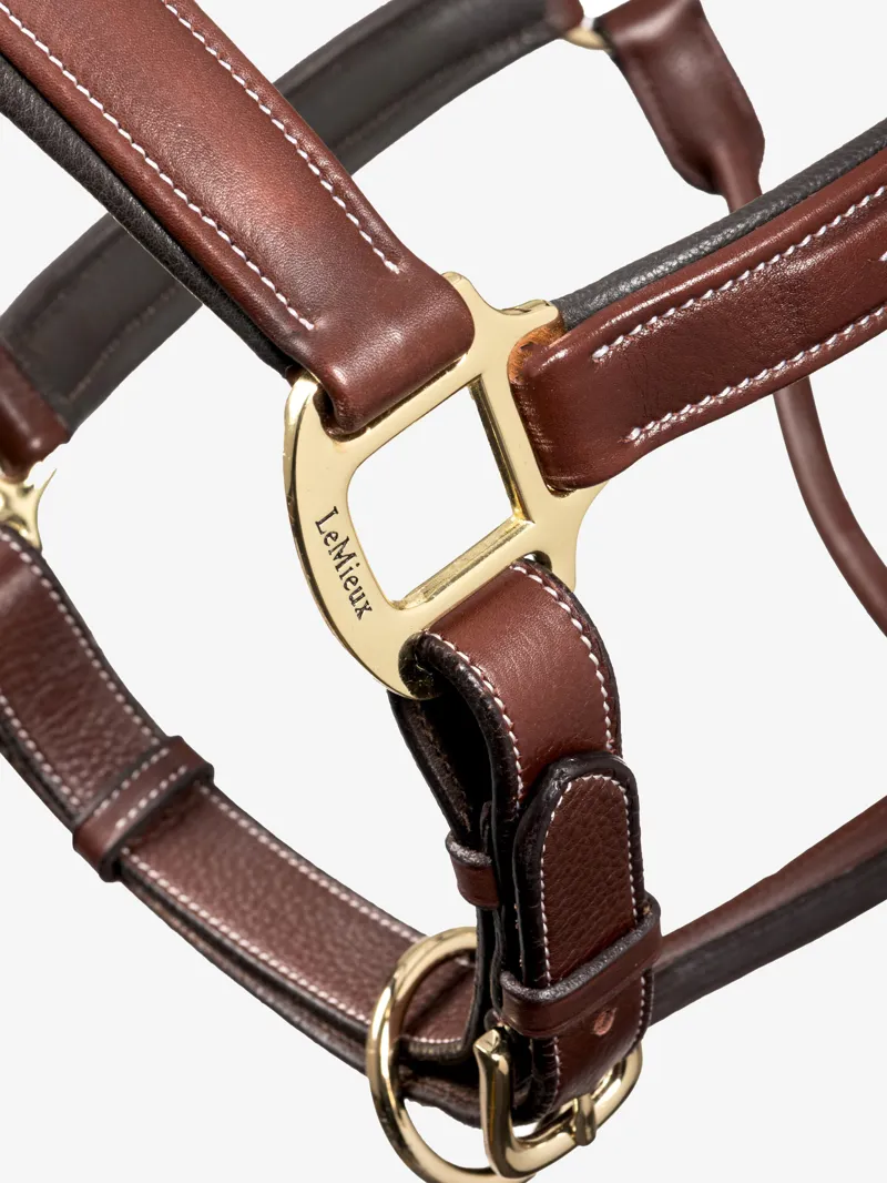 LeMieux Stitched Leather Headcollar in Brown-3