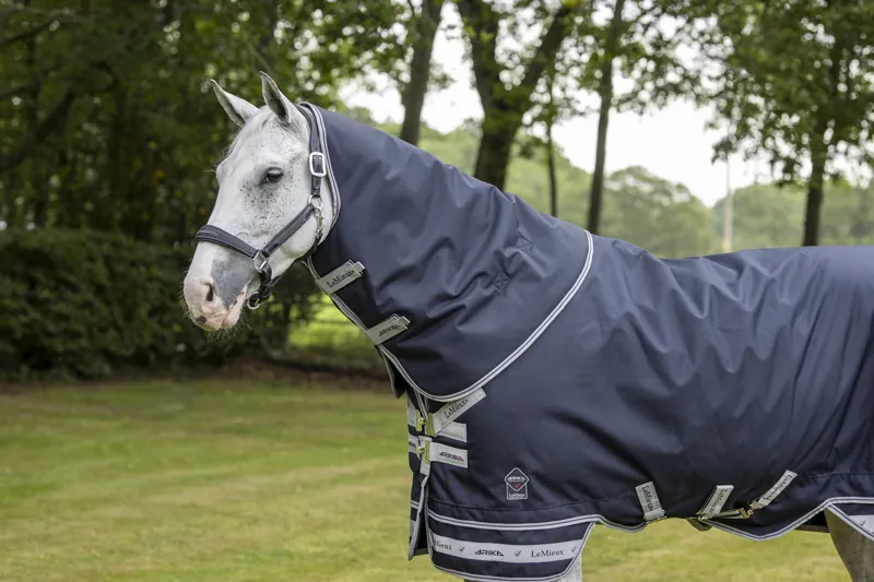 LeMieux ARIKA STORM-TEK 200G Medium Weight Rug in Navy