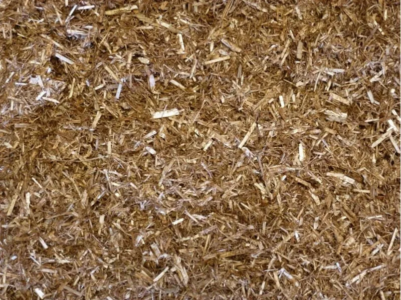 Mollichaff Extra-1