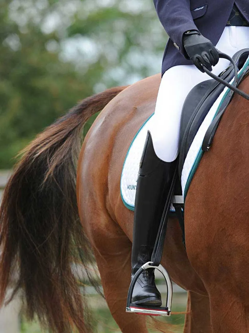 Mountain Horse Sovereign Riding Boot in Black-1