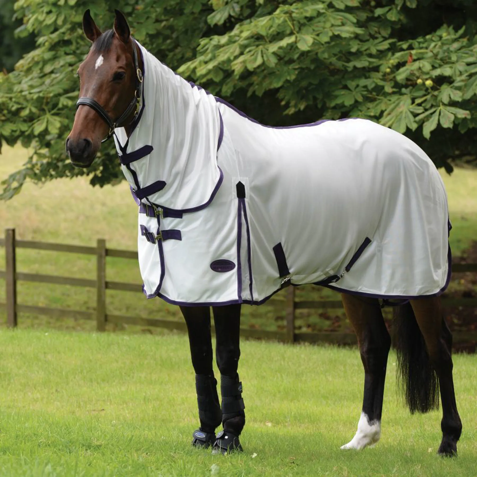 Fly Rug Weatherbeeta Weatherbeeta Comfitec Fly Rug Combo White/Purple/Black