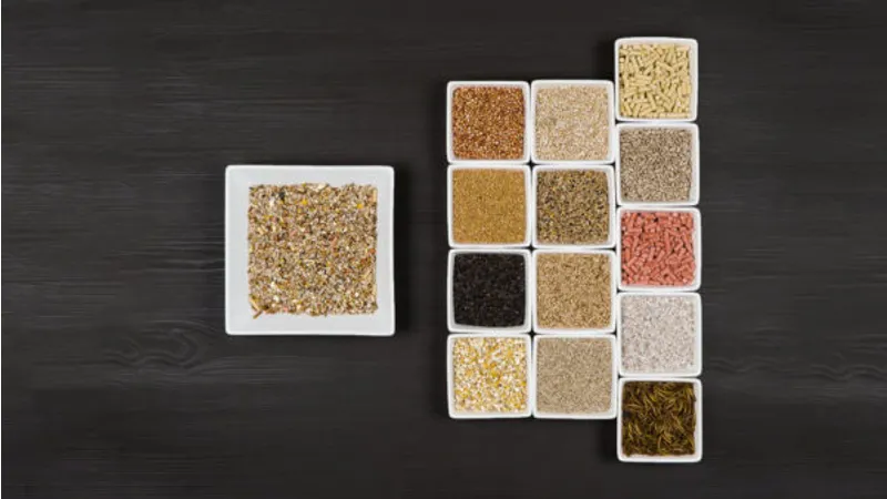 Johnston and Jeff Spring and Summer Mix-1