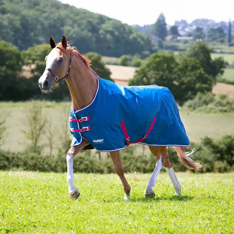 Tempest Original Lite Turnout Rug TEAL-1
