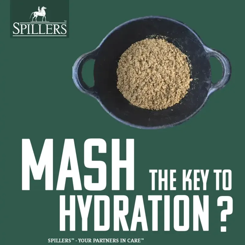 Spillers Senior Super-Mash -1