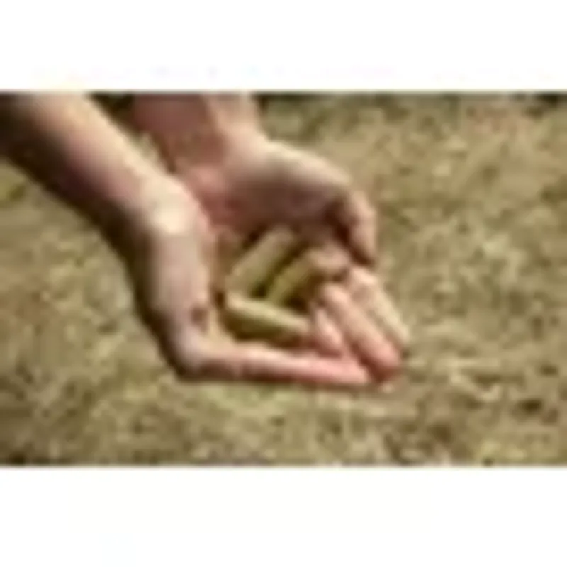Spillers Meadow + Biotin Treats-1
