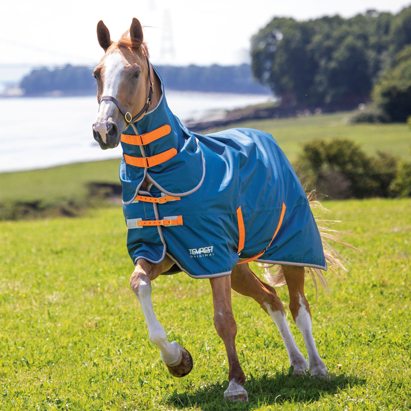 Tempest Original Lite Turnout Rug and Neck Set Teal-1