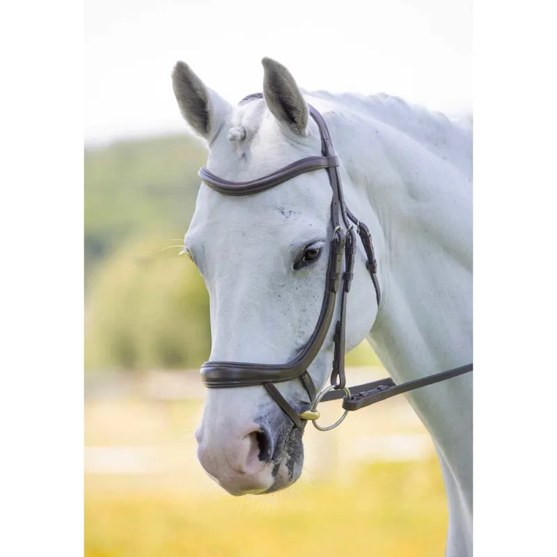 Velociti Ergonomic Curved Flash Bridle Havana