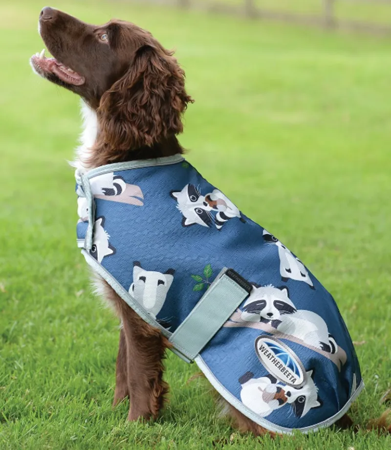 weatherbeeta rainstop dog coat