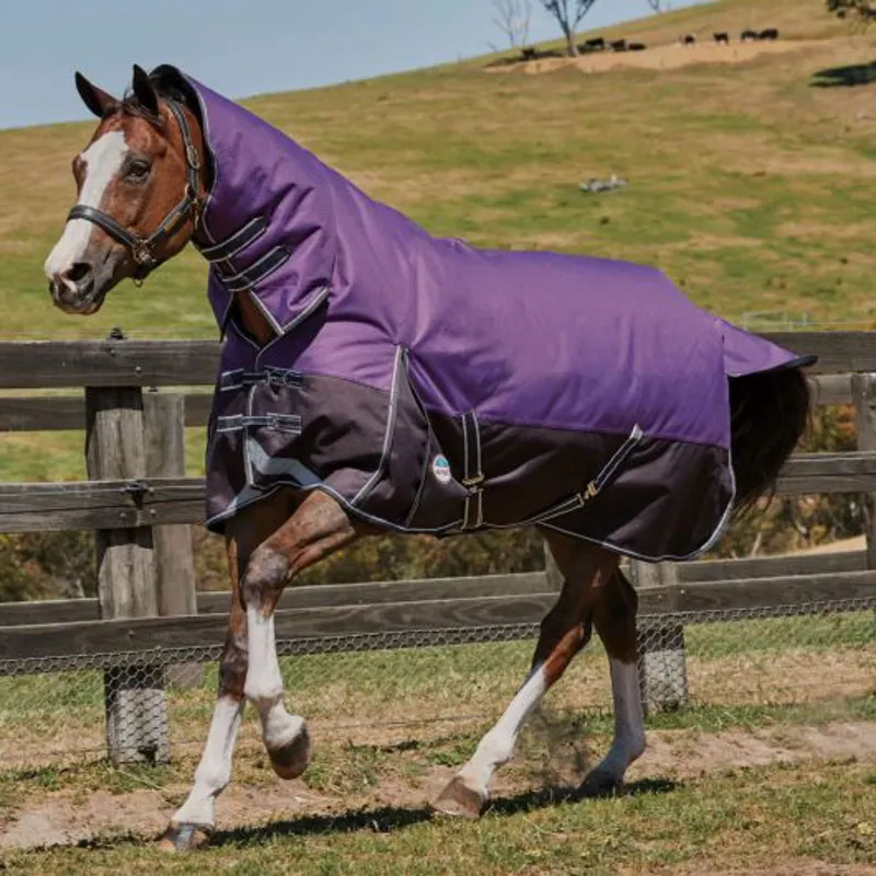 Weatherbeeta Comfitec Dynamic Combo 100g Rug in Purple