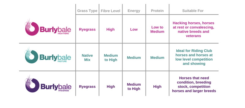 BurlyBale Pasture Naturally Good Haylage-2