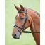 Salisbury Bodenham Bridle In Black