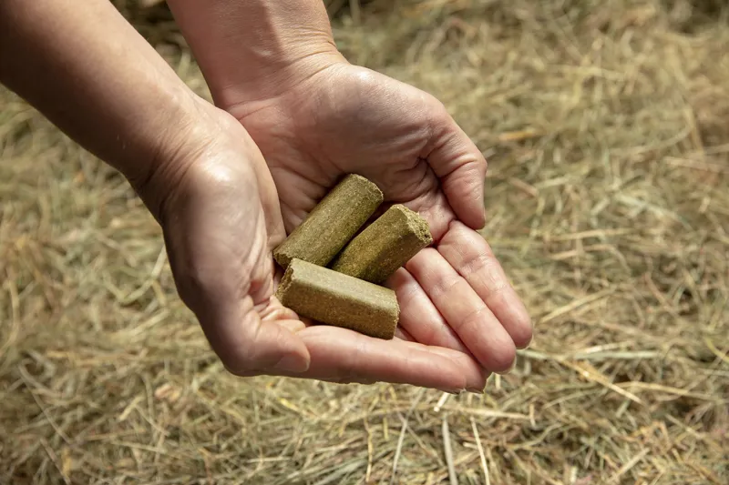 Spillers Meadow + Biotin Treats