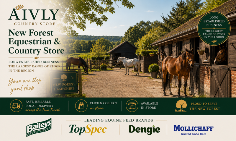 Aivly Country Store in the New Forest
