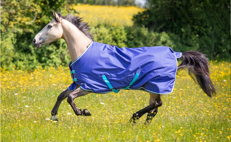 Turnout Rugs
