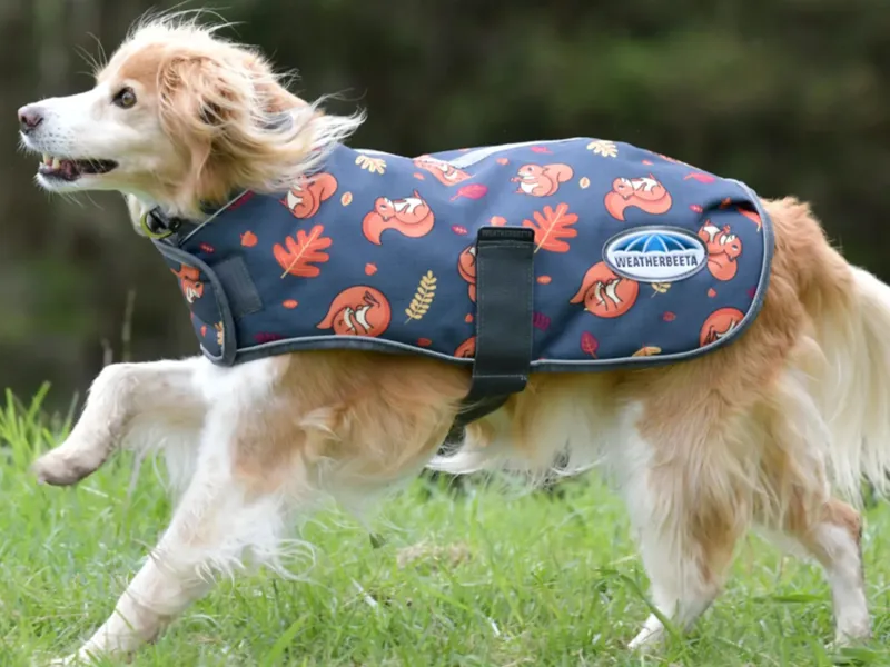 Dog Coats